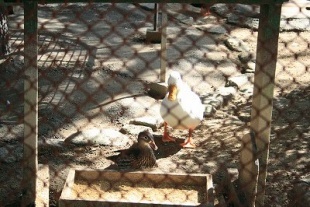 マニュアルモード１