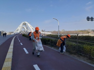 豊田大橋