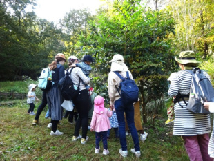 秋の森へ遊びに行こう～トヨタの森